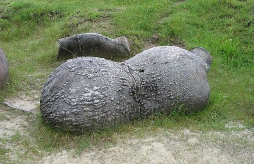 Le rocce viventi della Romania